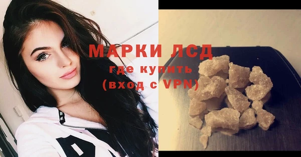 стаф Нефтекумск