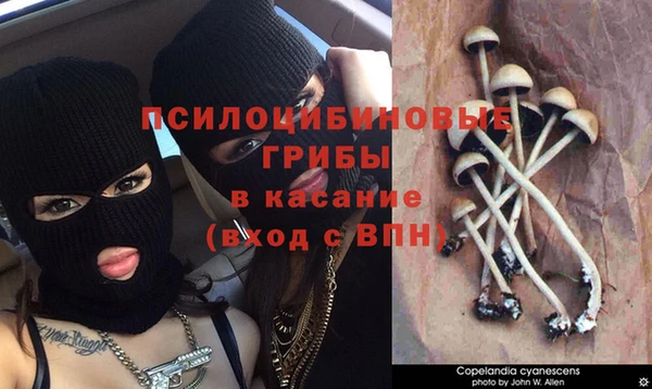 марки nbome Нефтегорск