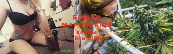 дурь Нея