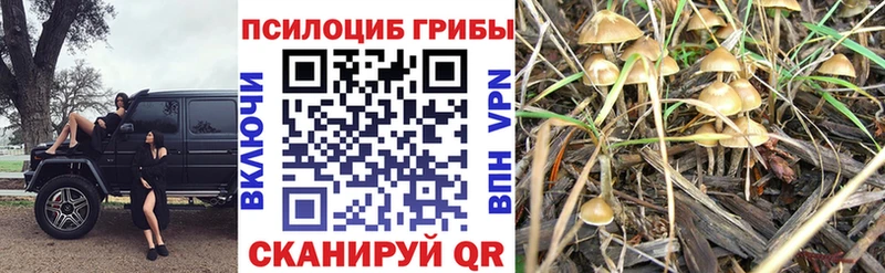 Псилоцибиновые грибы MAGIC MUSHROOMS  Курильск 
